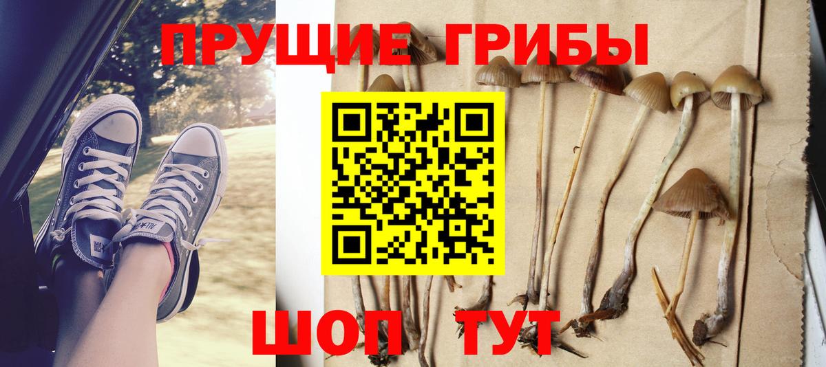 Галлюциногенные грибы прущие грибы Зерноград