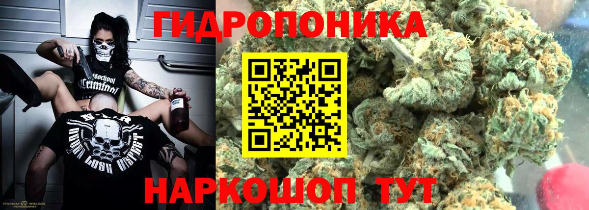 Бошки Шишки MAZAR Зерноград